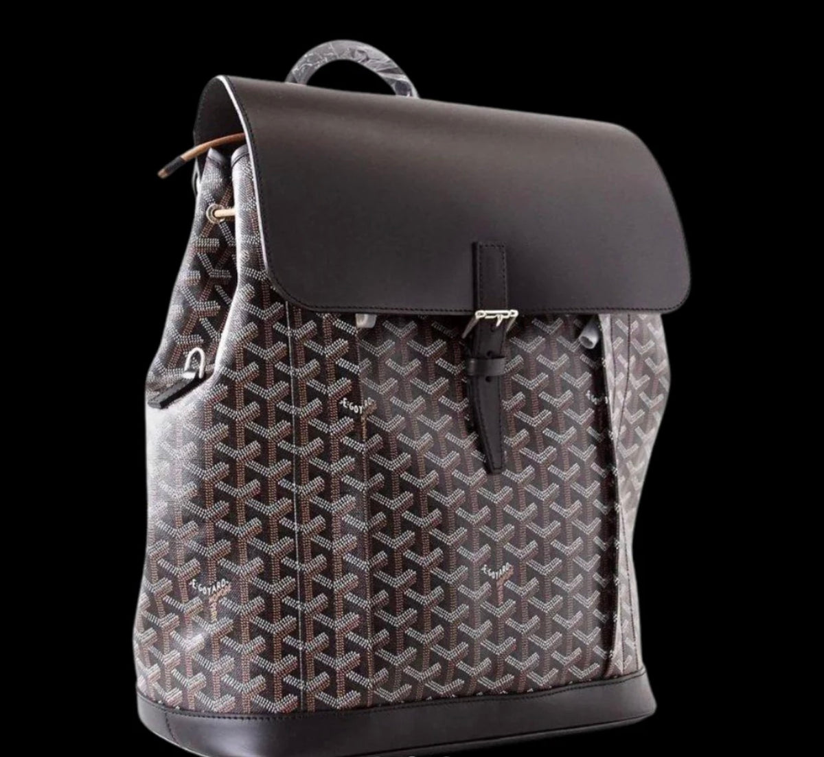 Goyard Bag